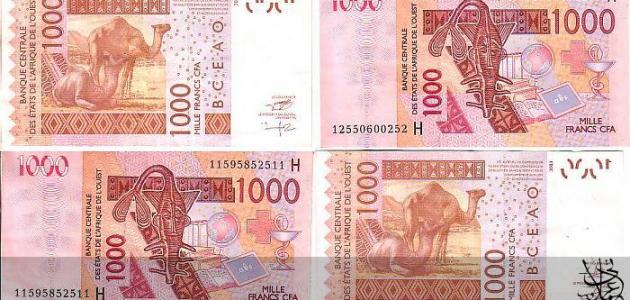 ارز دولت نیجر چیست