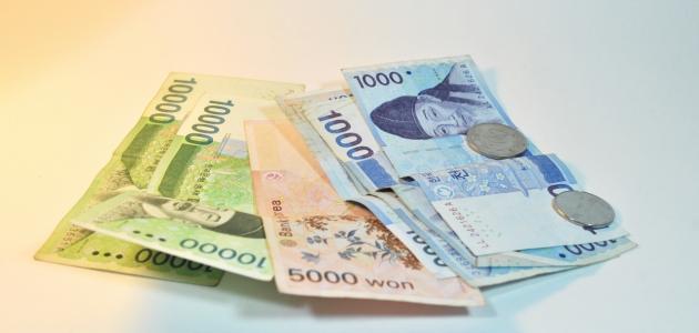 ارز کره شمالی چیست